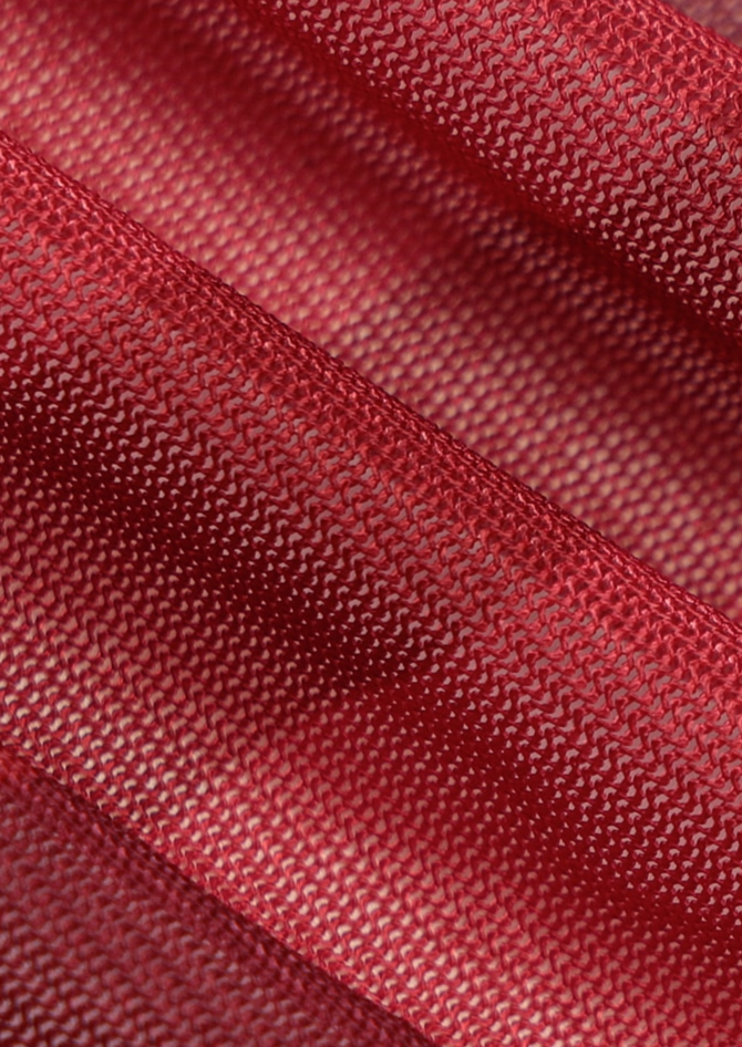 Red See Through Blouse